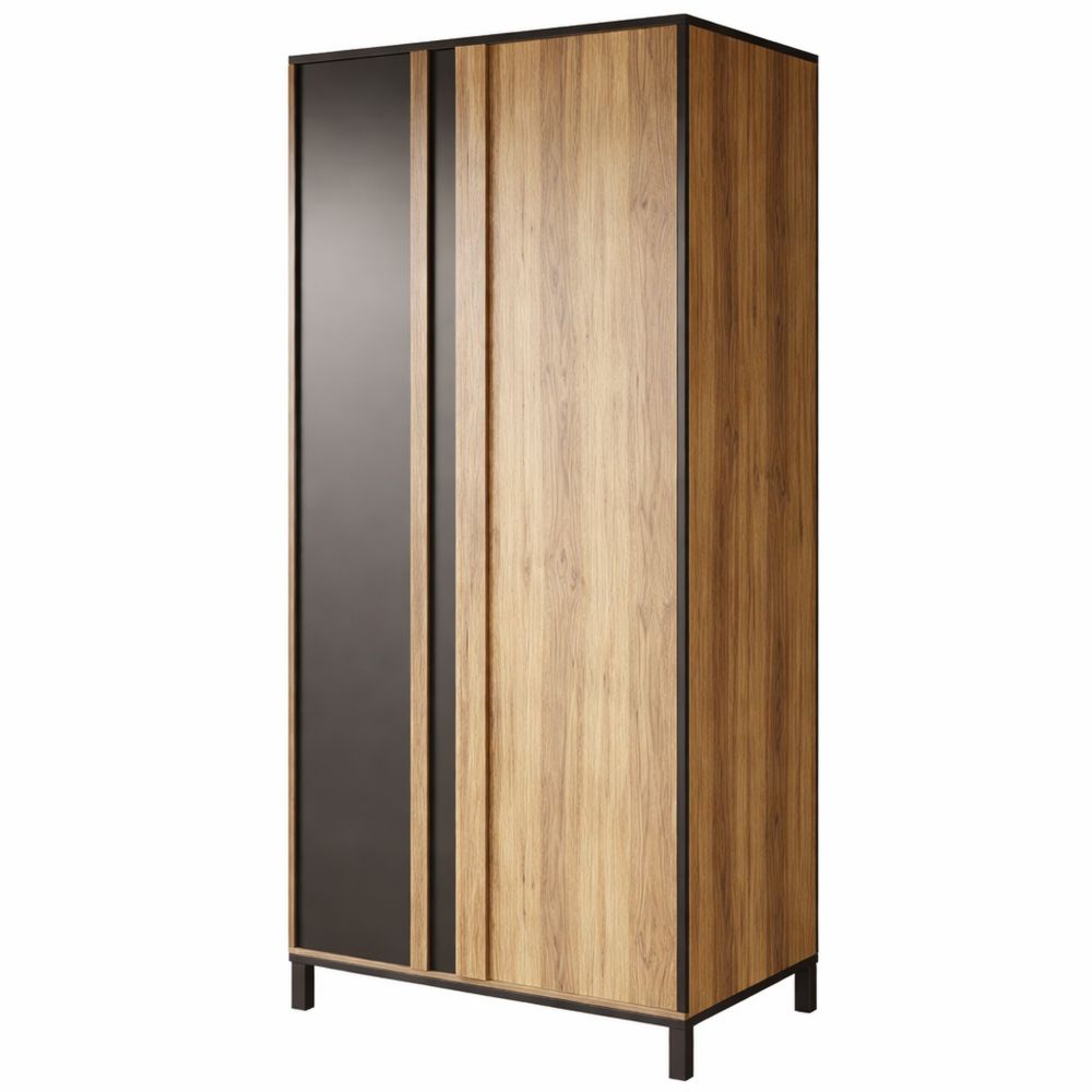 Moderner Kleiderschrank mit Zwei Türen und Einlegeboden, Schwarz-Alpenfichte Dekor