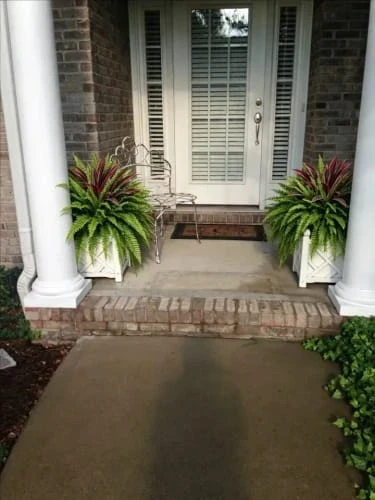 Outdoor entrance greenery