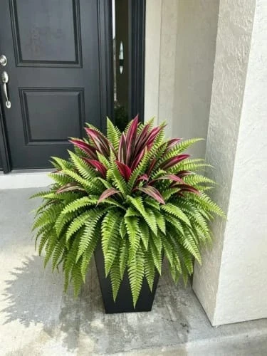 Artificial plant beside front door