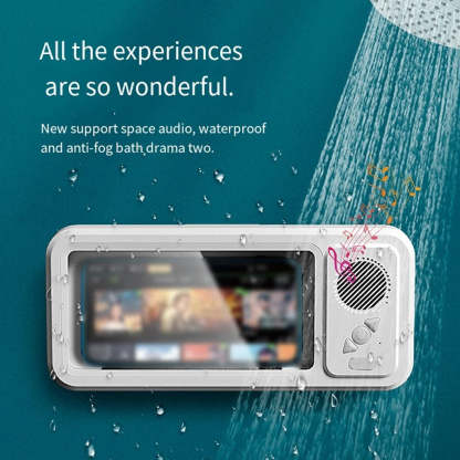 Shower Audio System