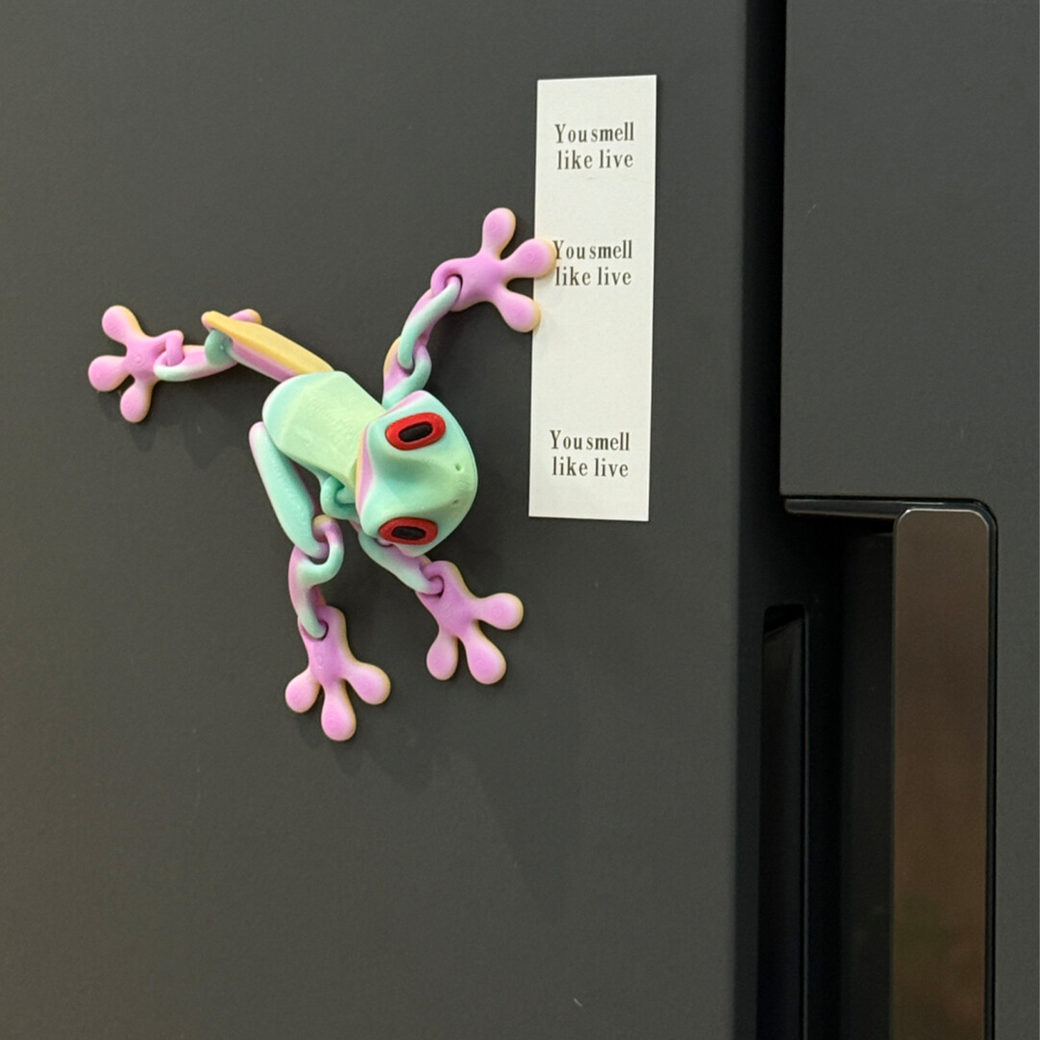 Magnetic Frog Fridge Magnet
