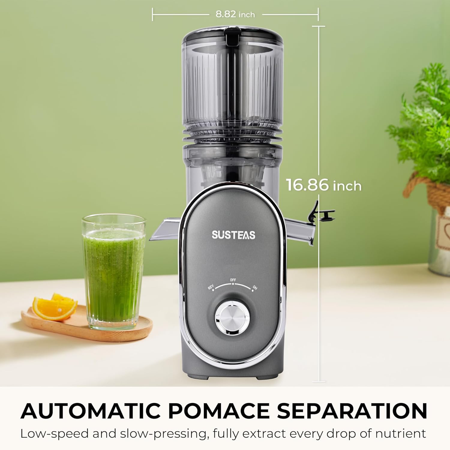 Premium Cold Press Slow Juicer with 5.3" Wide Chute & 300W Motor