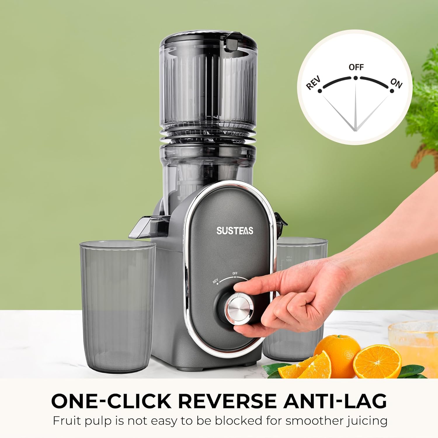 Premium Cold Press Slow Juicer with 5.3" Wide Chute & 300W Motor