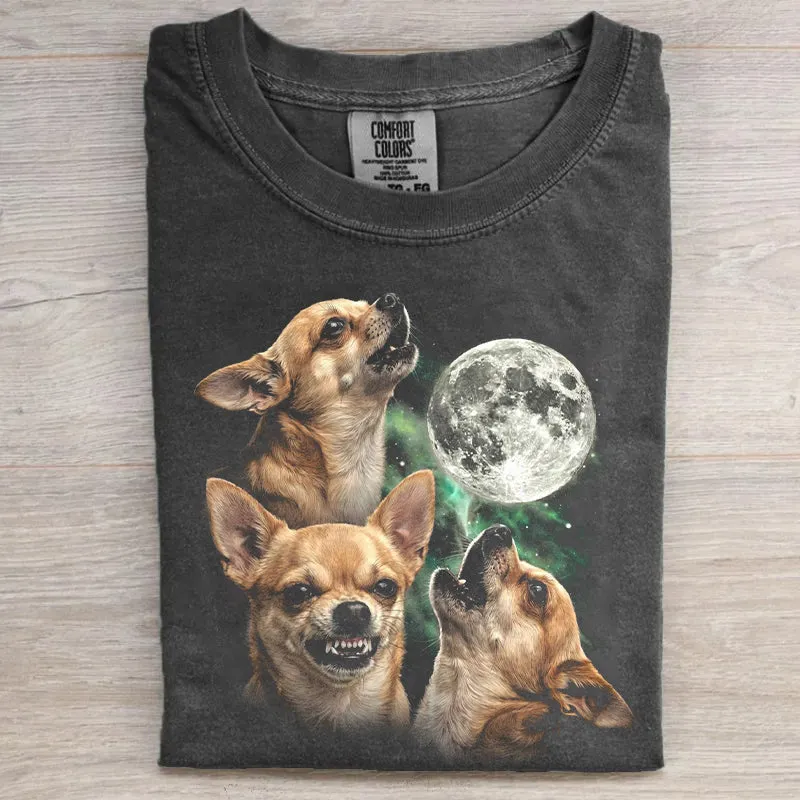 Chihuahuas