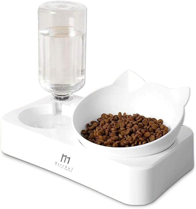 Cat Bowls, Cat Food and Water Bowl Set