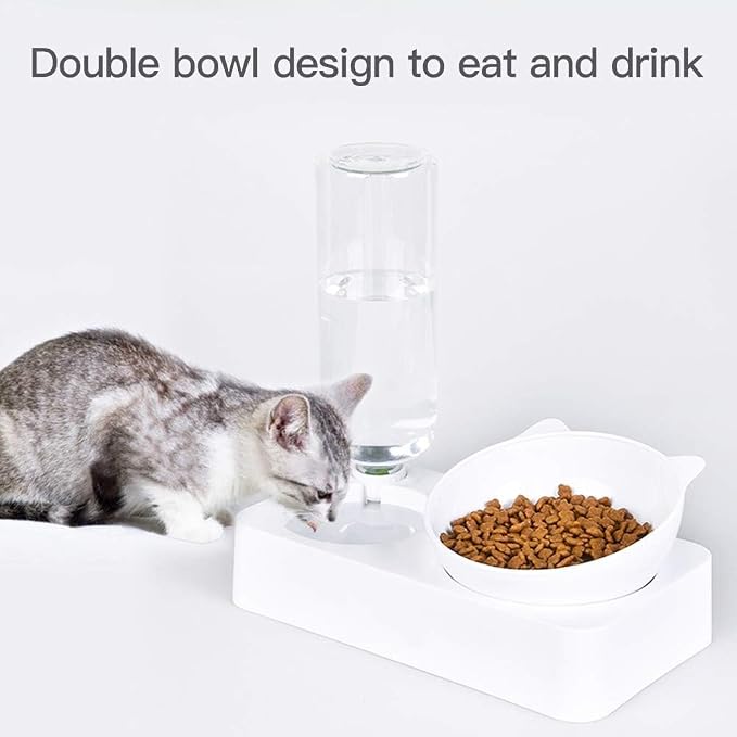Cat Bowls, Cat Food and Water Bowl Set