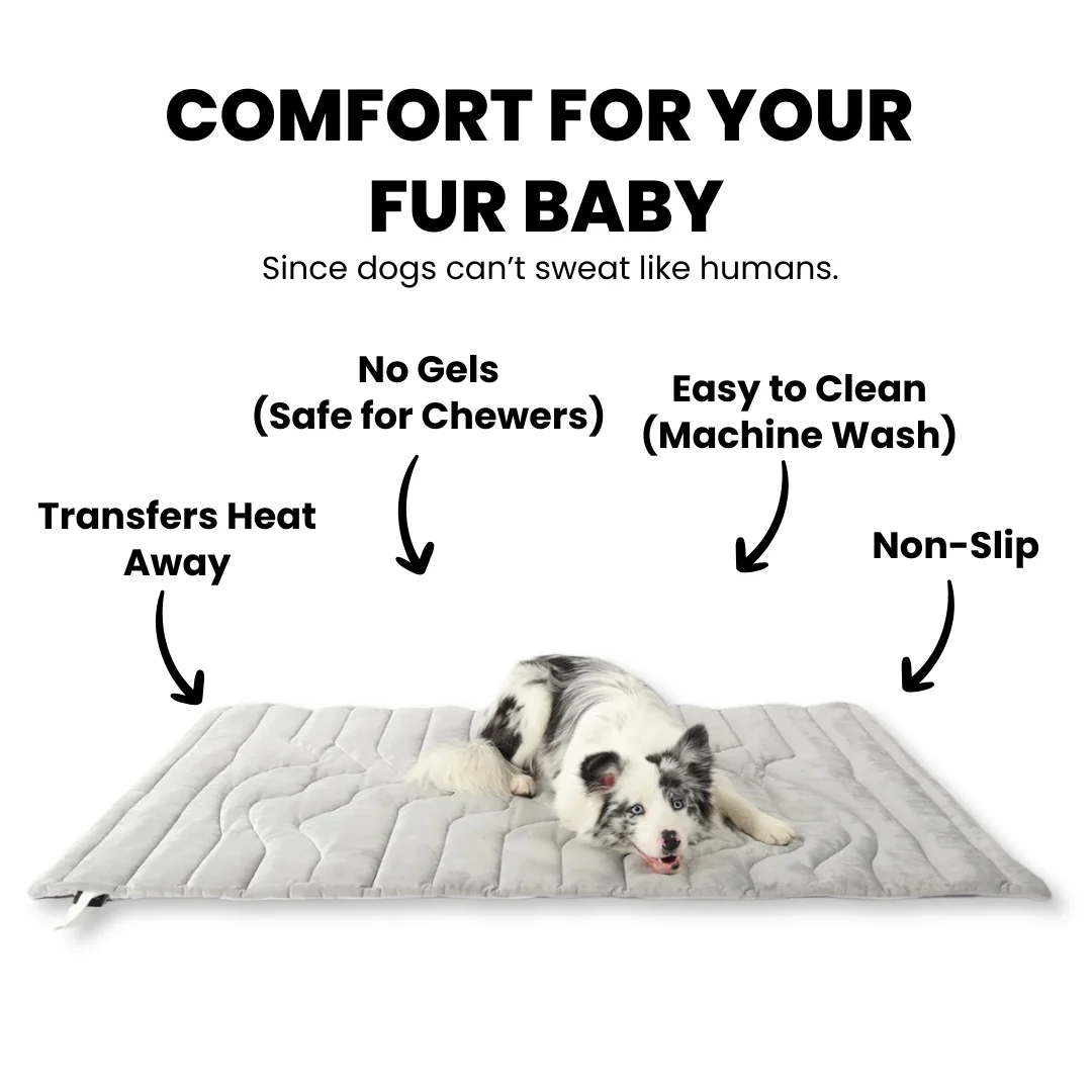Dog Cooling Mat