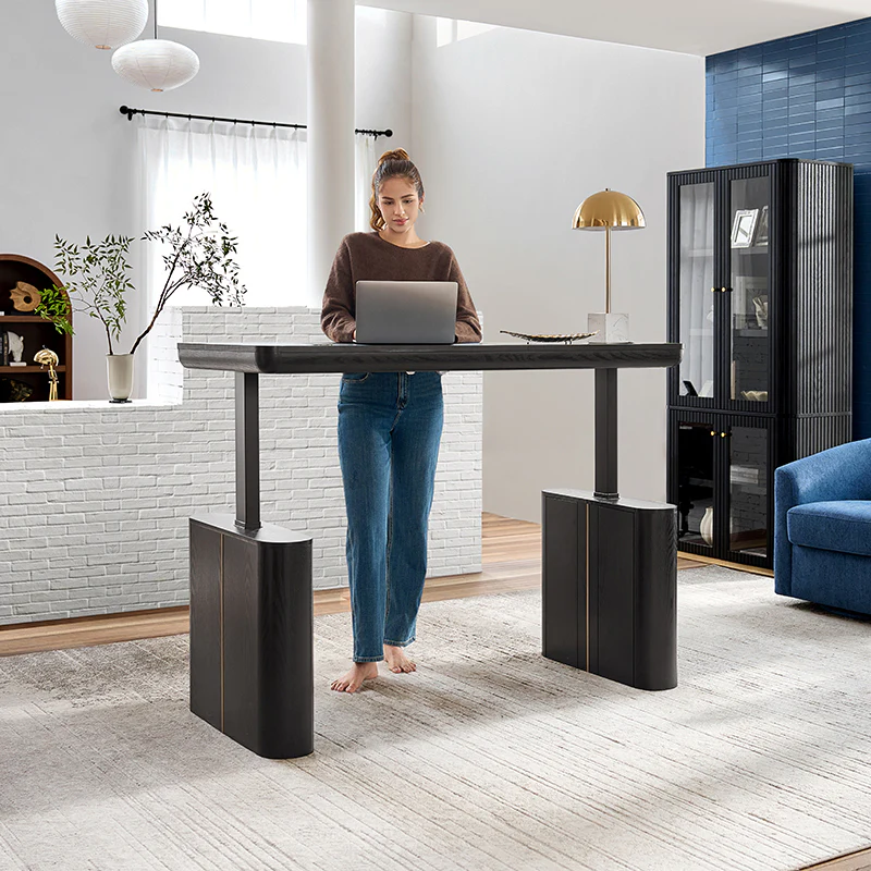 Emilio Modern Electric Adjustable Standing Desk