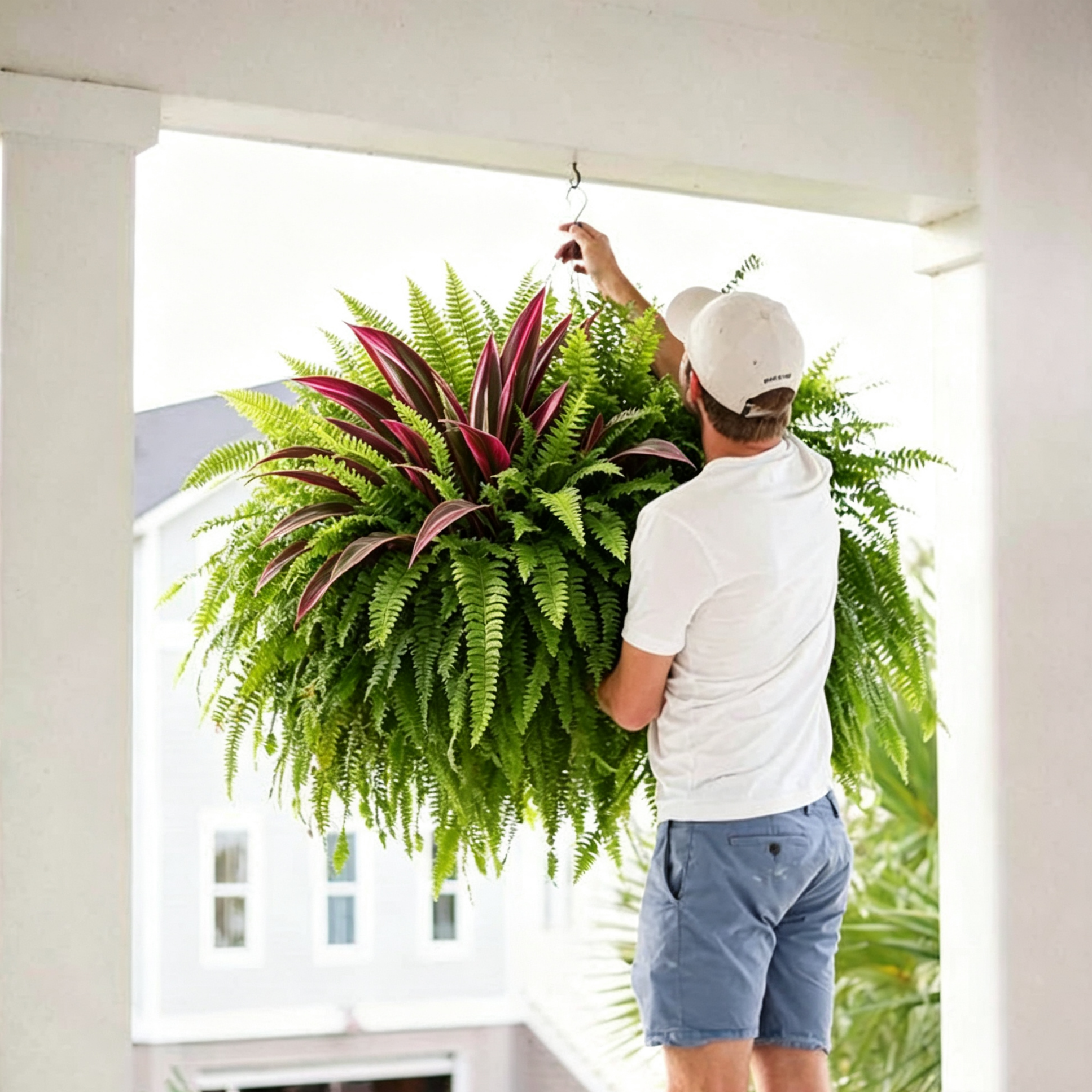 💥Last Day 70% OFF🌼UV-Resistant Artificial Fern & Red Dracaena Decorative Plants – Full, Lush & Fade-Resistant!