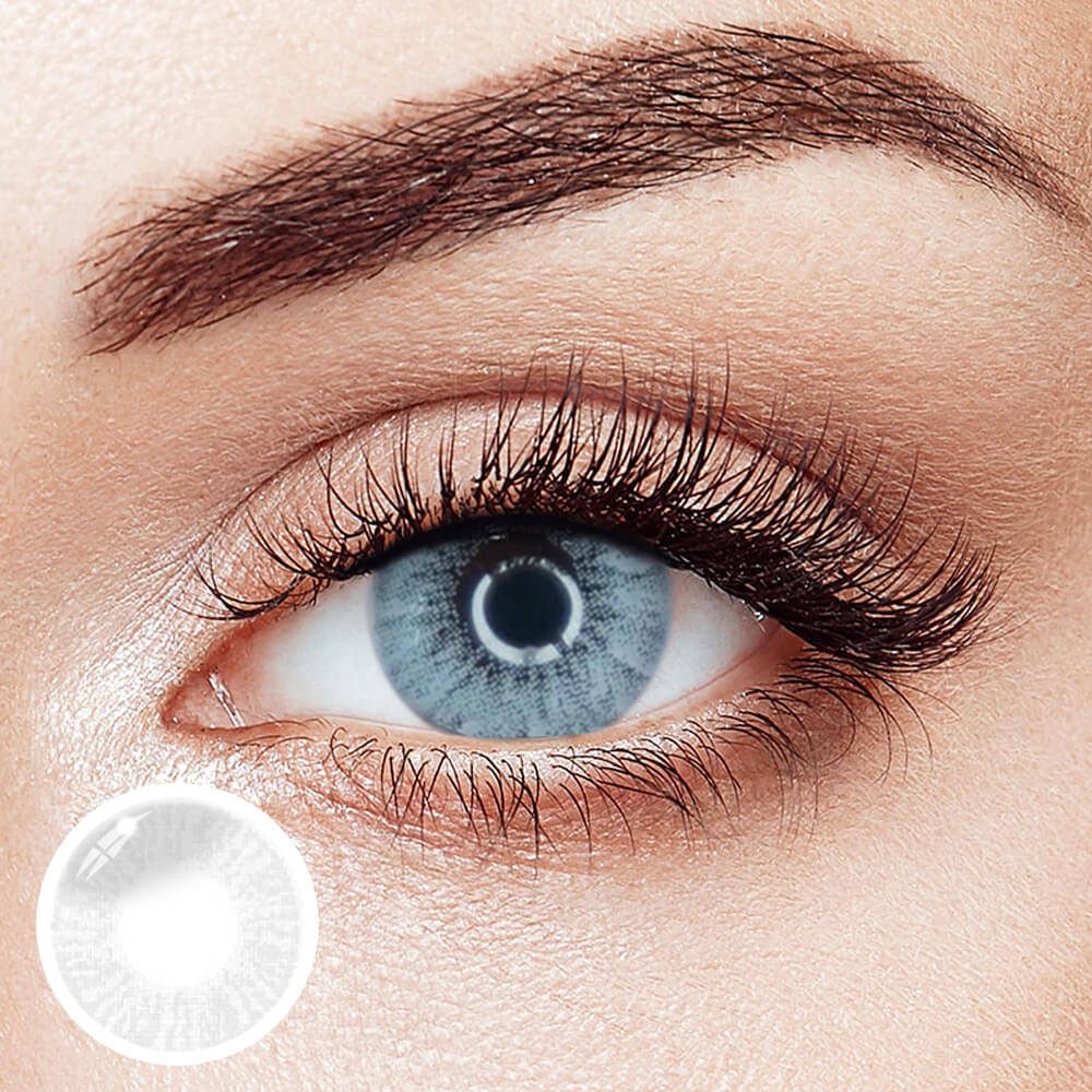 Lee Bible Gray | 1 Year