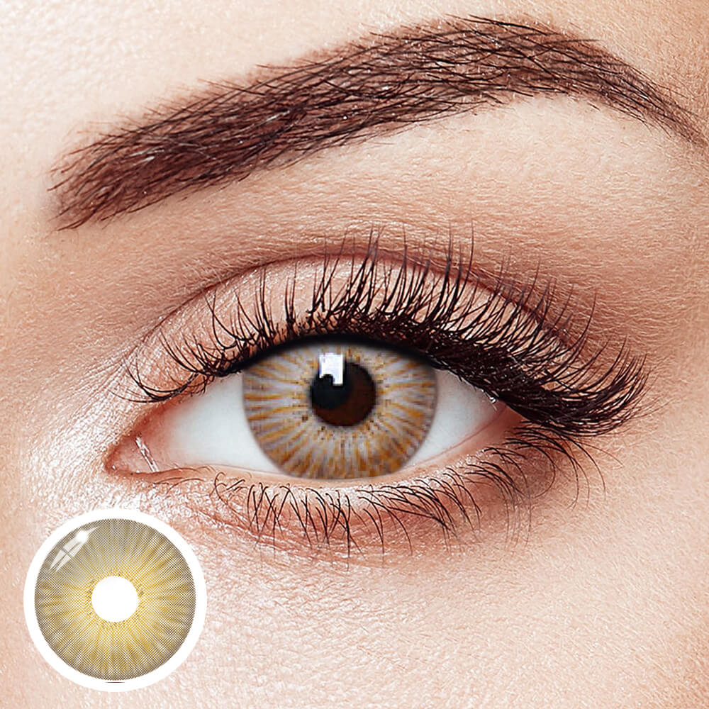 New York Brown | 1 Year