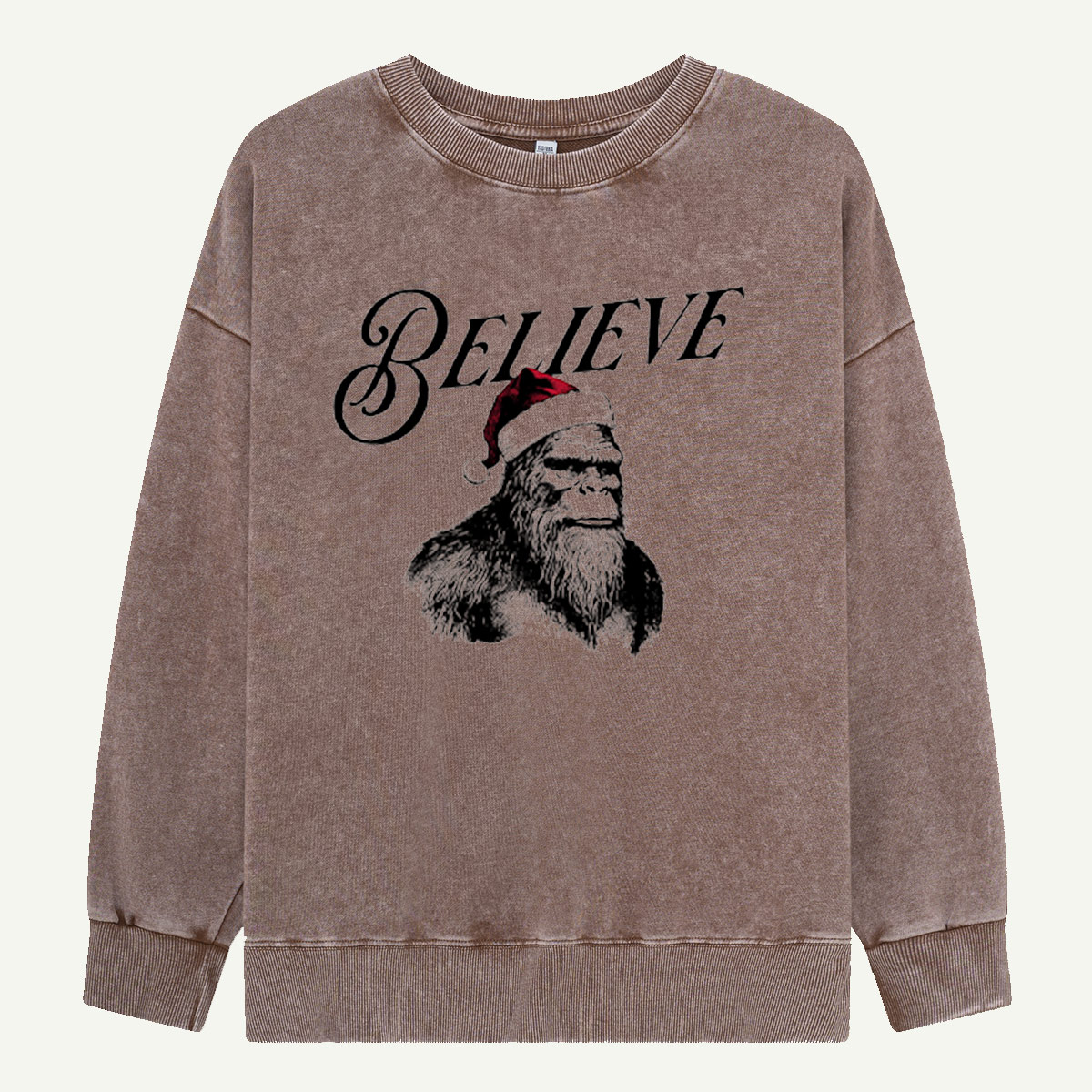 Believe Christmas Opossum Washed Sweatshirts