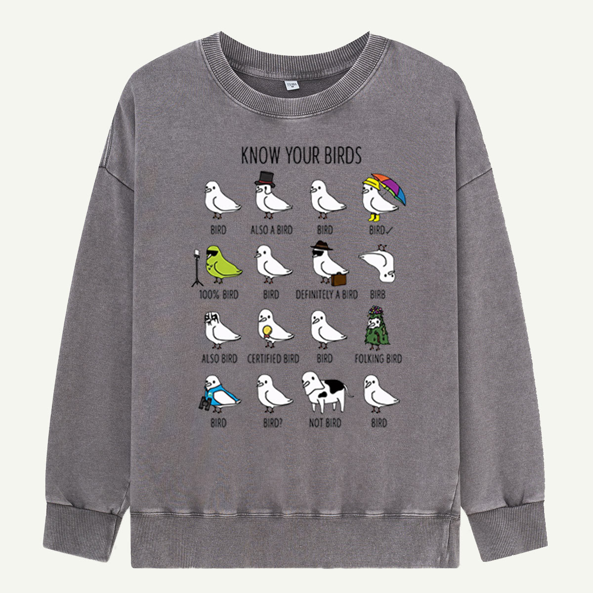 Know Your Birds Bird Chart Washed Sweatshirts