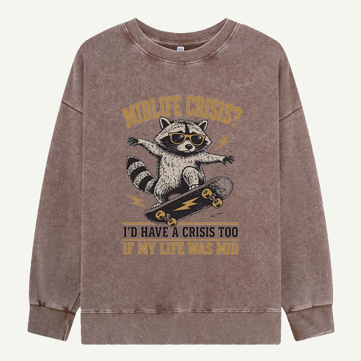 Raccoon Midlife Crisis Ride Washed Sweatshirts