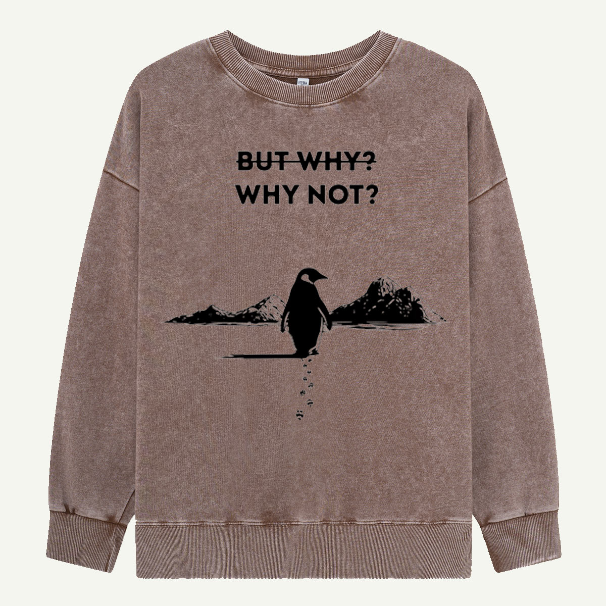 But Why Why Not Penguin Adventure Washed Sweatshirts