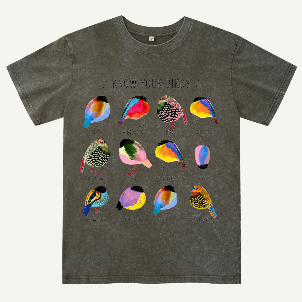 Colorful Bird Guide Washed T-Shirt