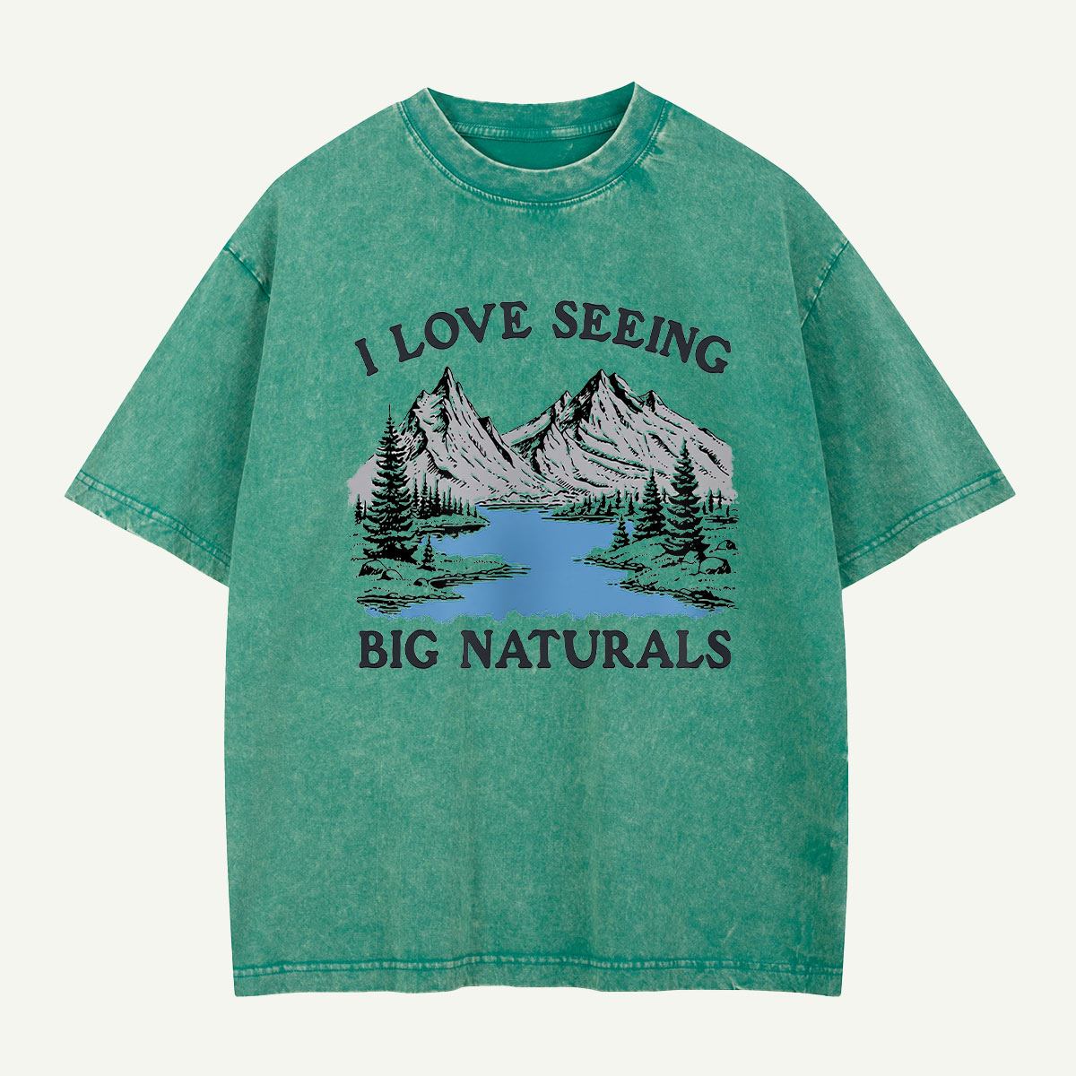 Big Naturals Mountain View Washed T-Shirt