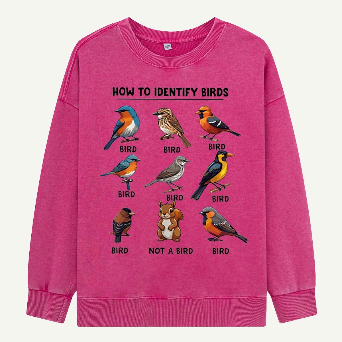 Funny Bird How to Identify Birds Washed Sweatshirts
