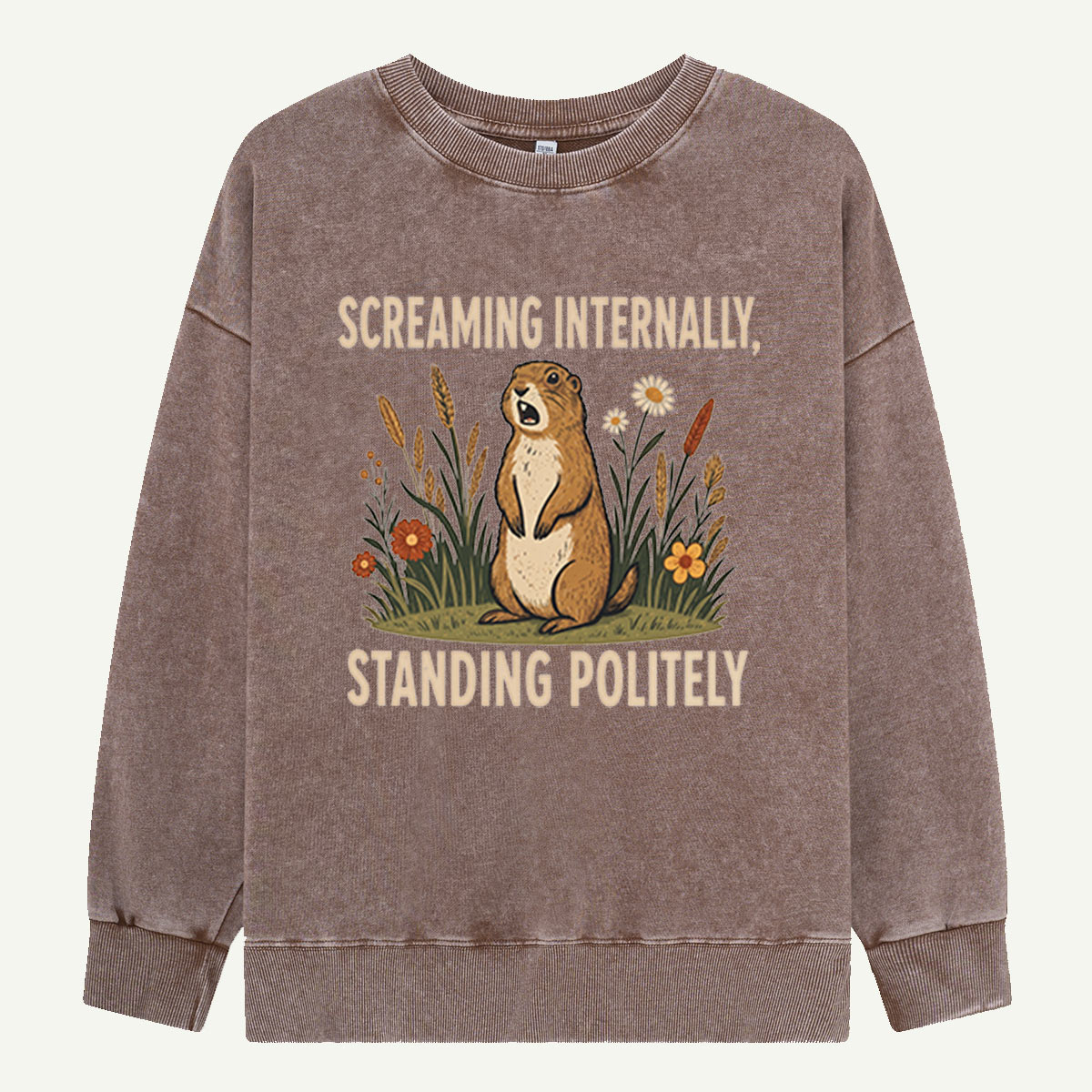 Screaming Internally, Standing Politely Washed Sweatshirts