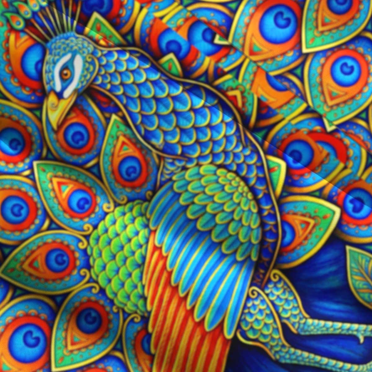 Paisley Peacock Rainbow Bird Straps Maxi Dress With Pocket