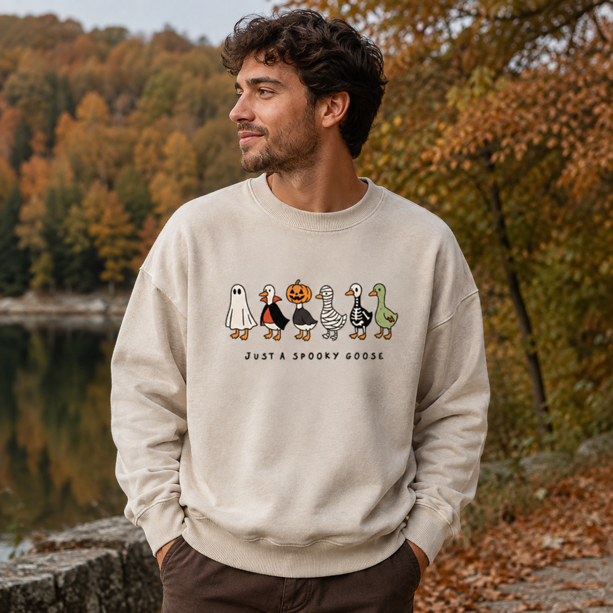 Just a Spooky Goose Costume Lineup Washed Sweatshirts