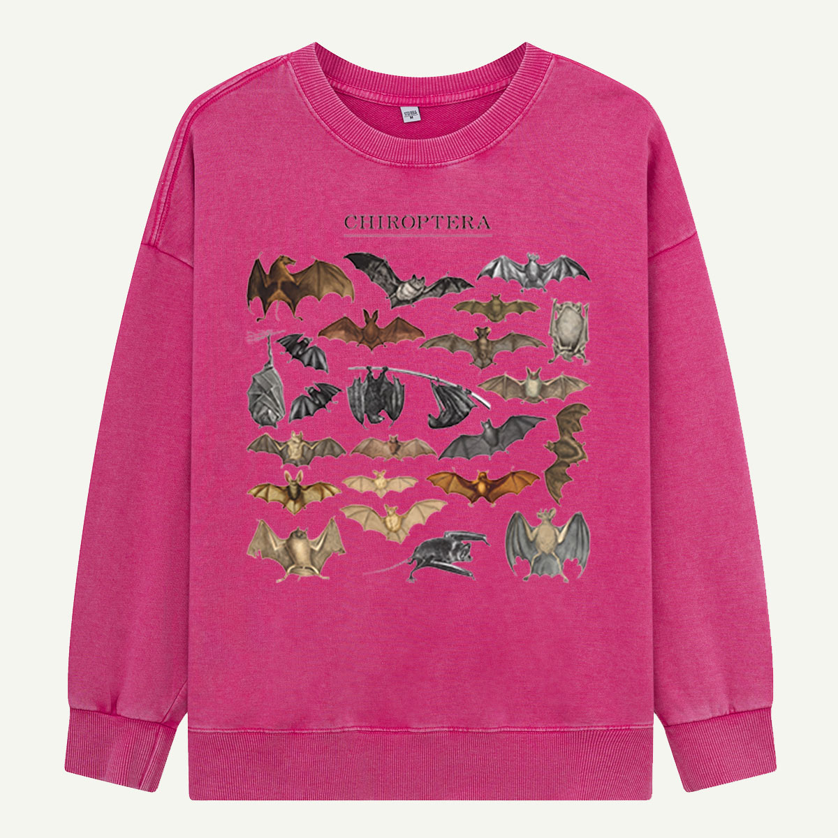 Pumpkin Cat Most Wonderful Washed Sweatshirts
