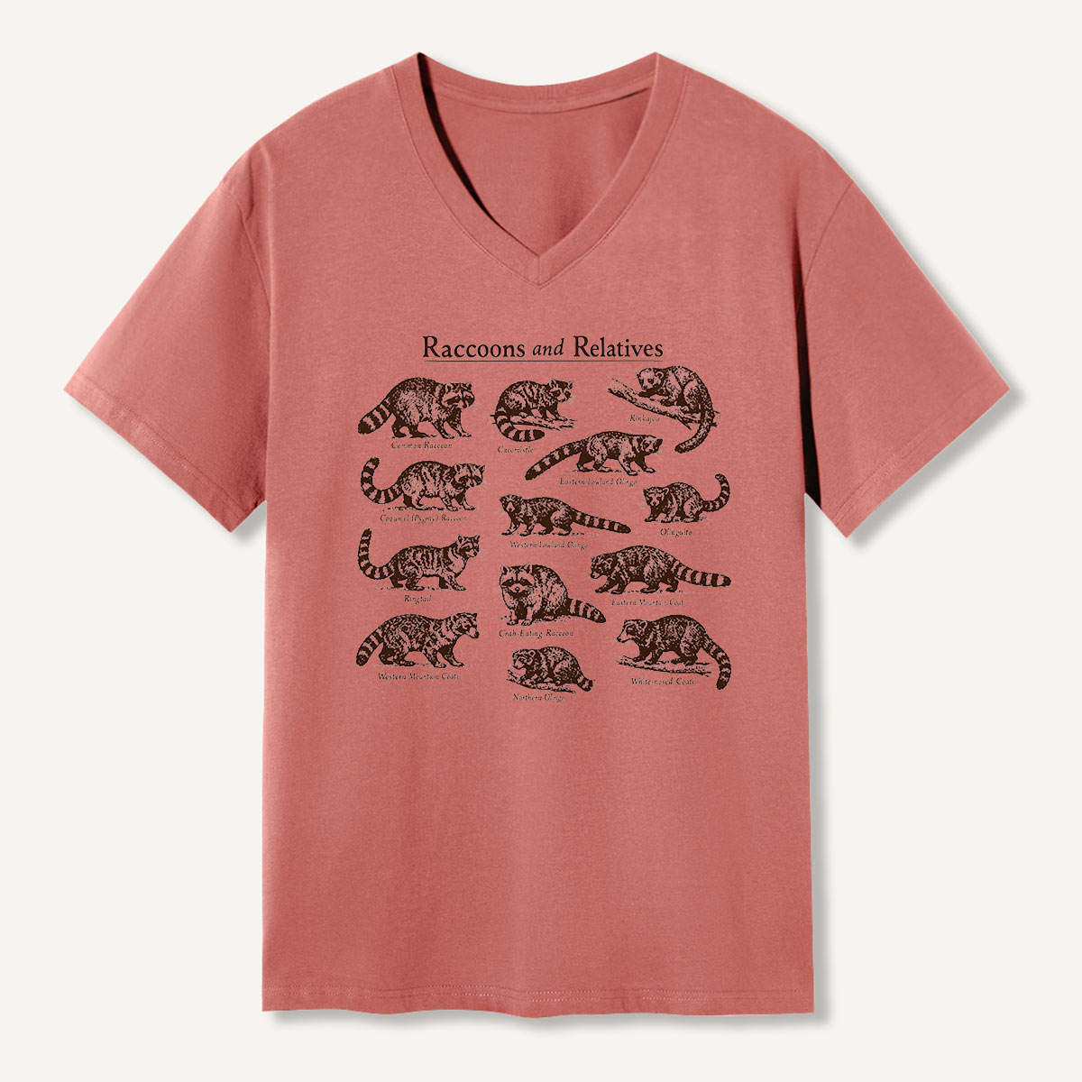 Raccoons And Relatives Vintage Field Guide V-neck T-Shirt