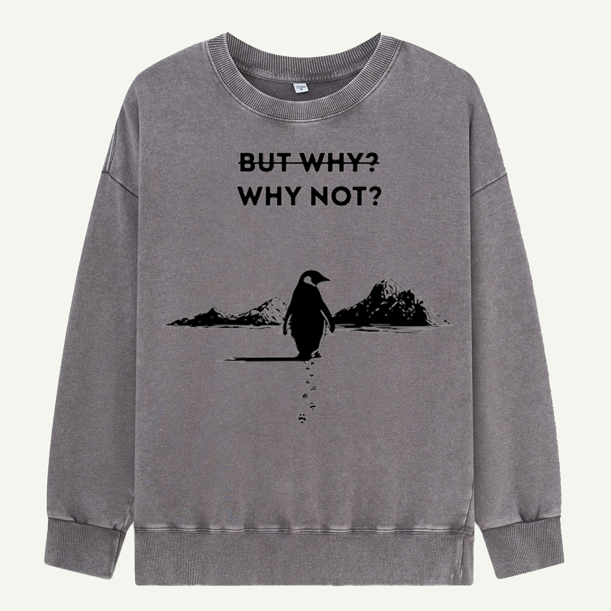 But Why Why Not Penguin Adventure Washed Sweatshirts