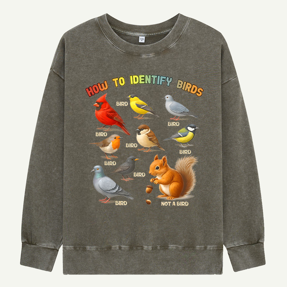 How to Identify Birds Washed Sweatshirts