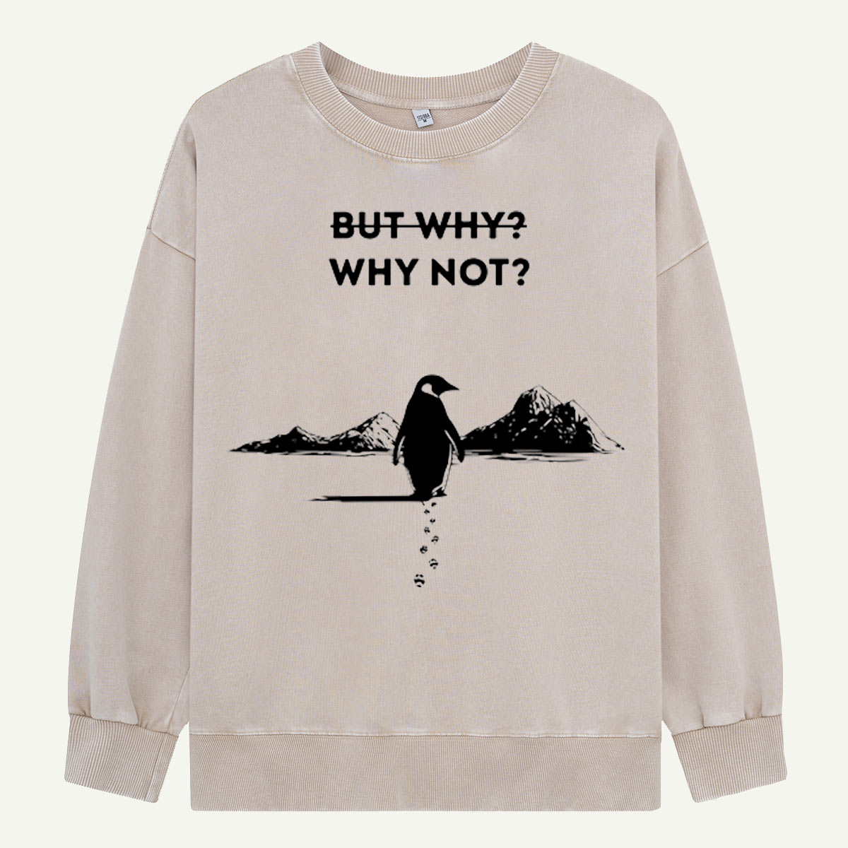 But Why Why Not Penguin Adventure Washed Sweatshirts