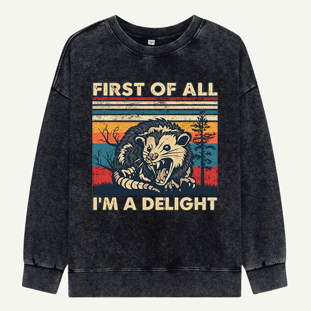 First of All I’m a Delight Opossum  Washed Sweatshirts