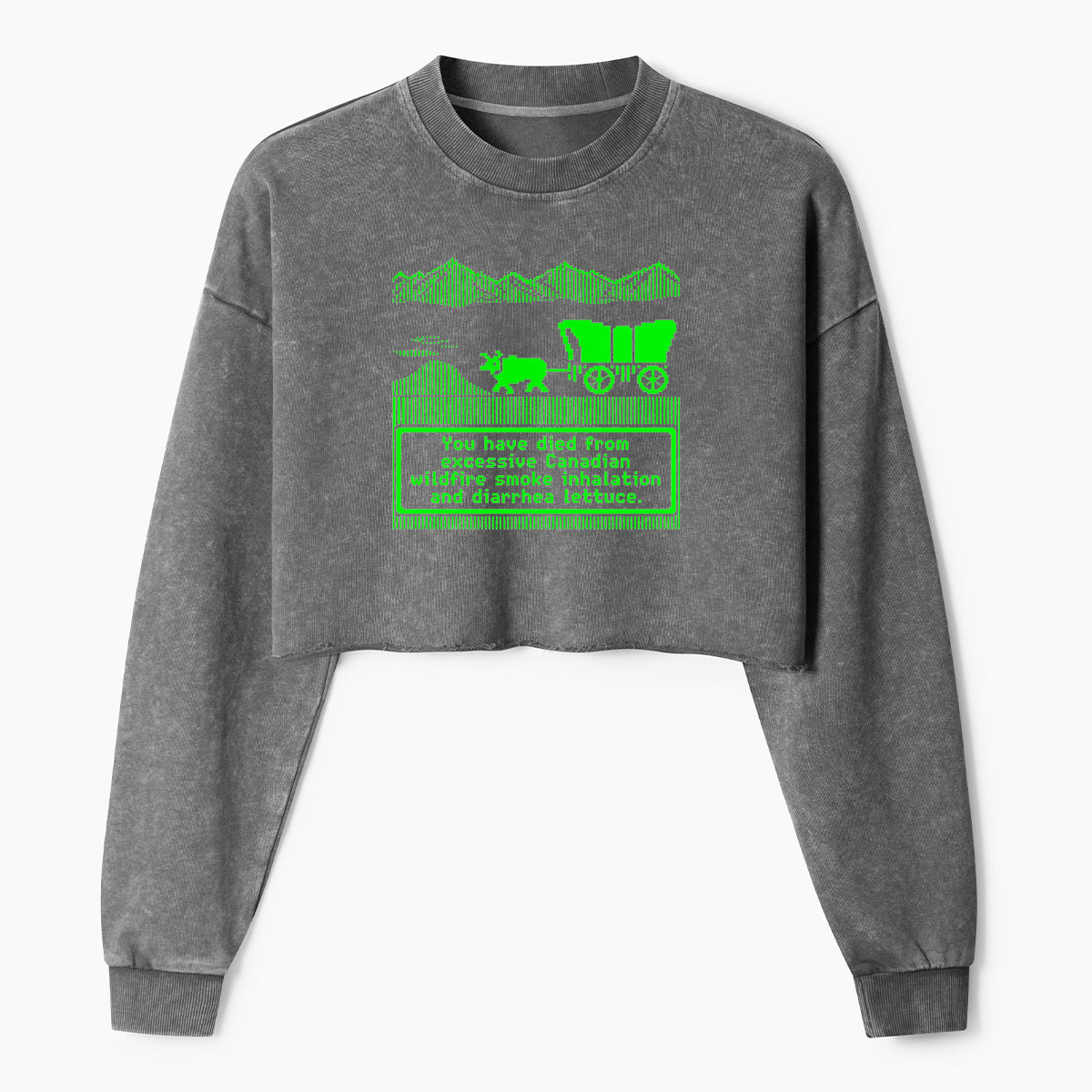 Prehistoric Road Trip Dinosaur Wagon Women's Washed Cropped Sweatshirt