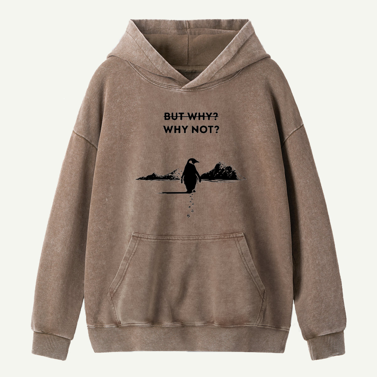 But Why Why Not Penguin Adventure Washed Hoodie