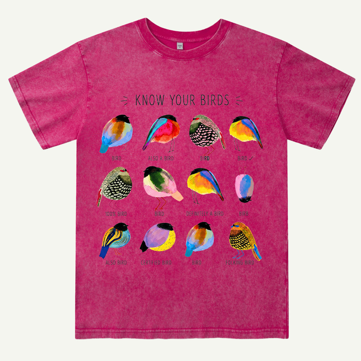 Colorful Bird Guide Washed T-Shirt