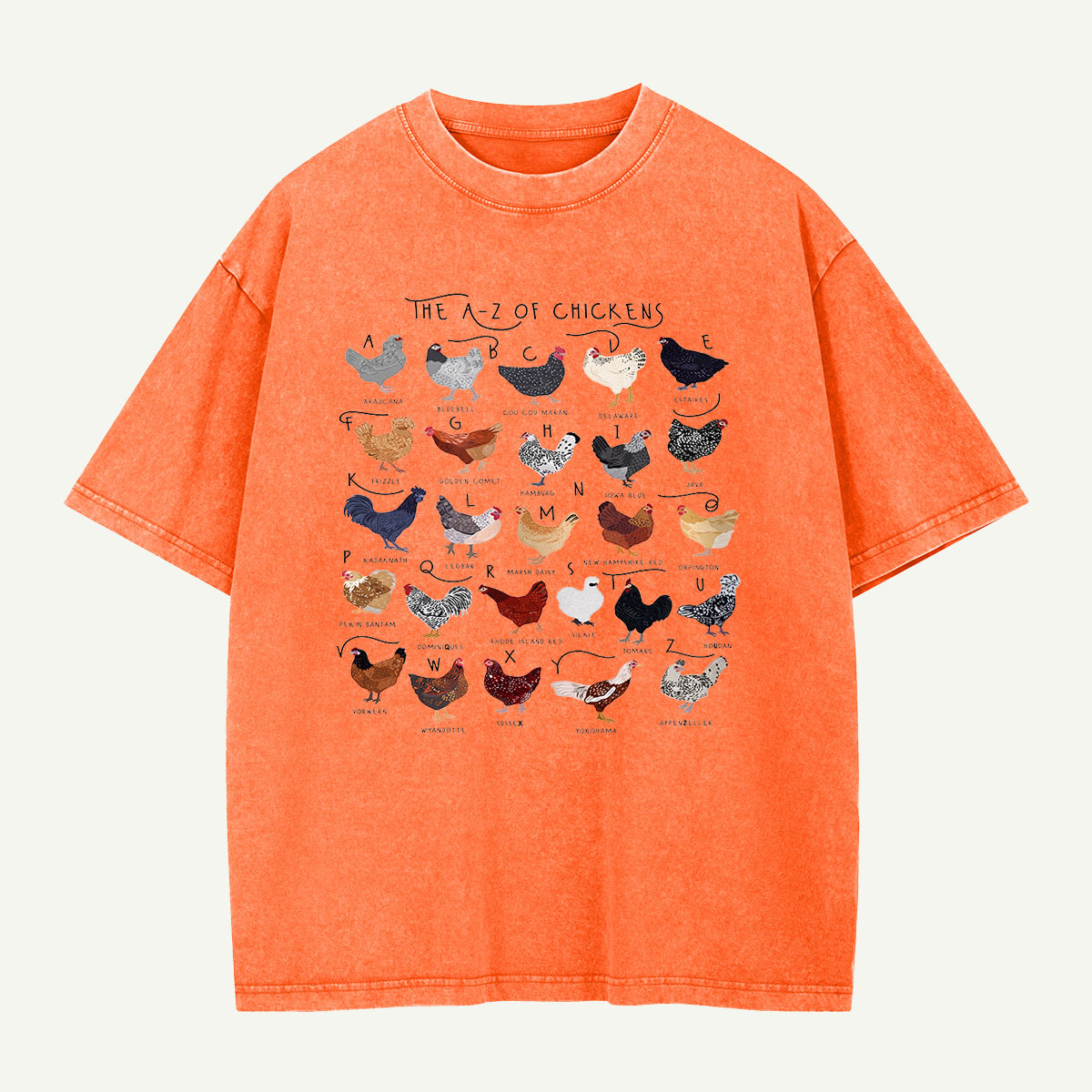 The Chicken Alphabet Washed T-Shirt