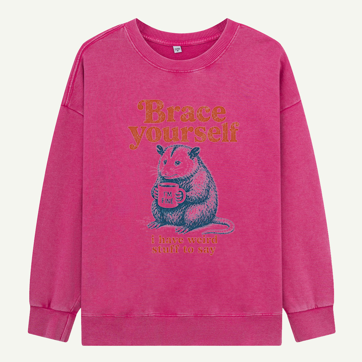 Brace Yourself, Opossum Has Thoughts Washed Sweatshirts