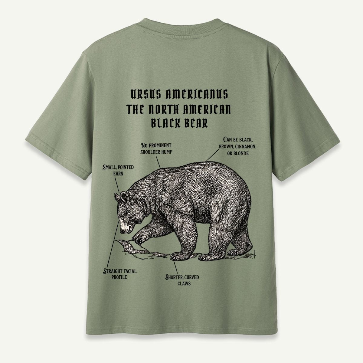 Sage Green