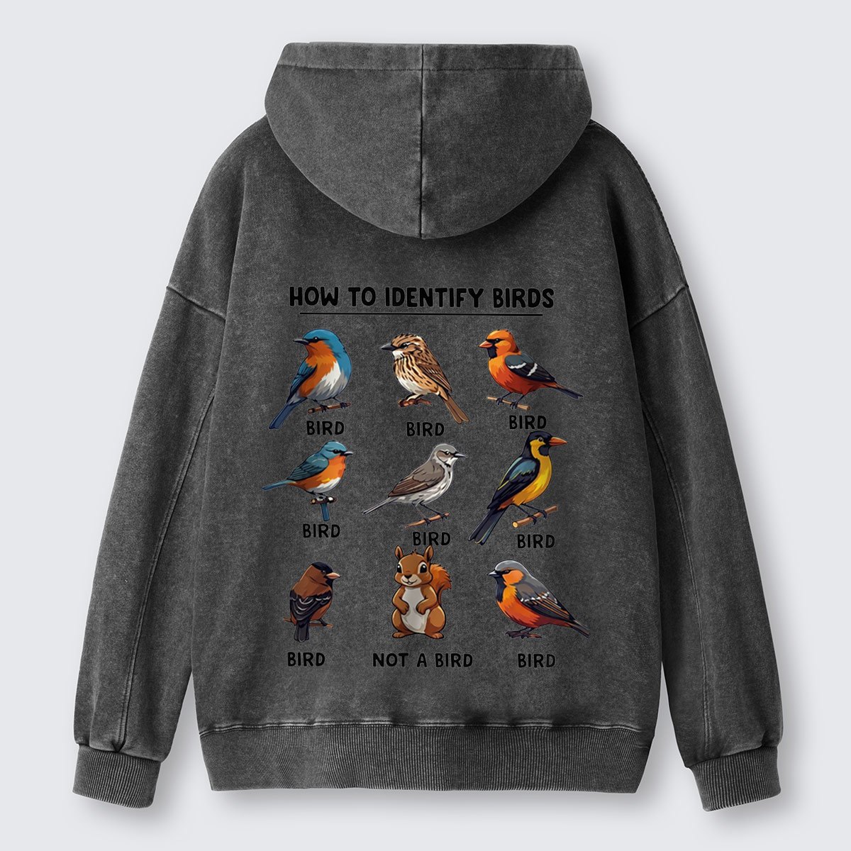 Funny Bird How to Identify Birds Washed Hoodie