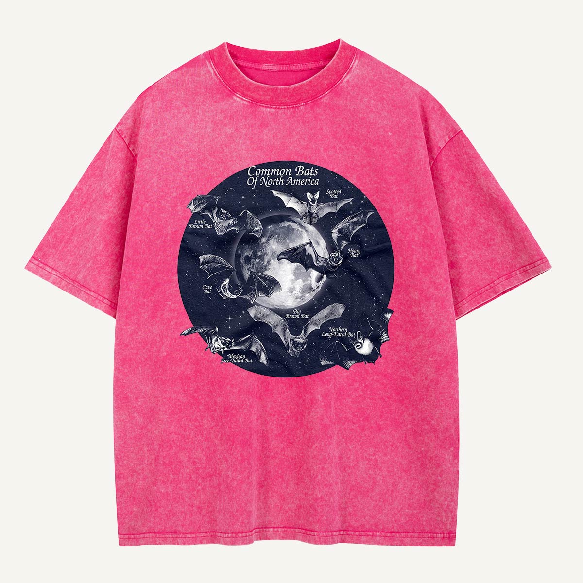 Bats of North America After Dark Washed T-Shirt
