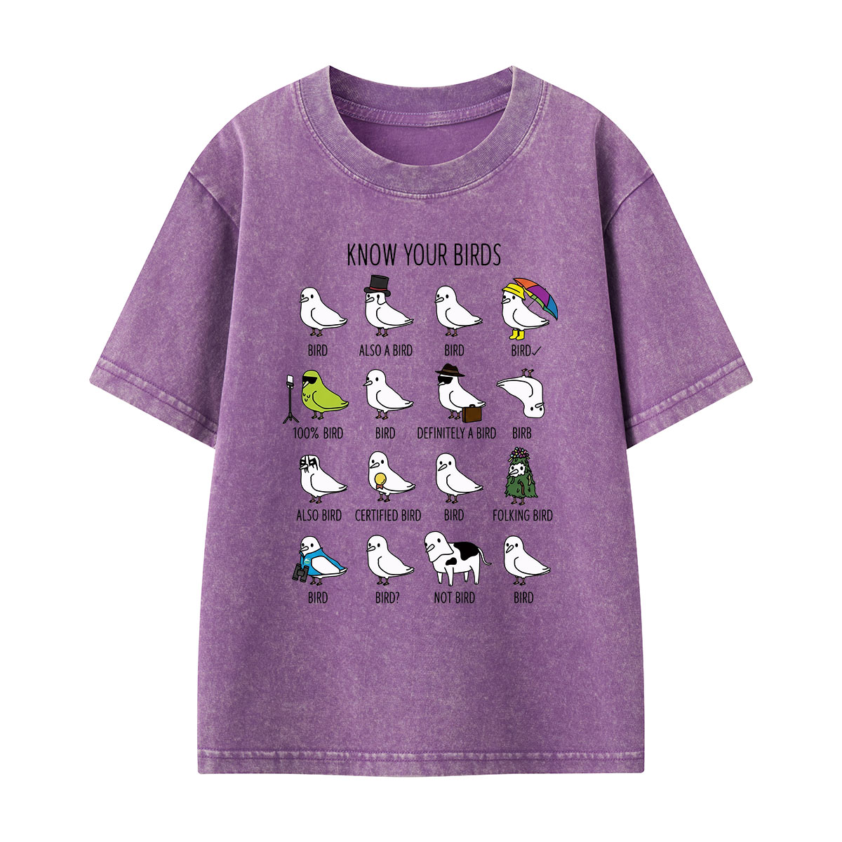 Know Your Birds Bird Chart Kids Washed T-Shirt