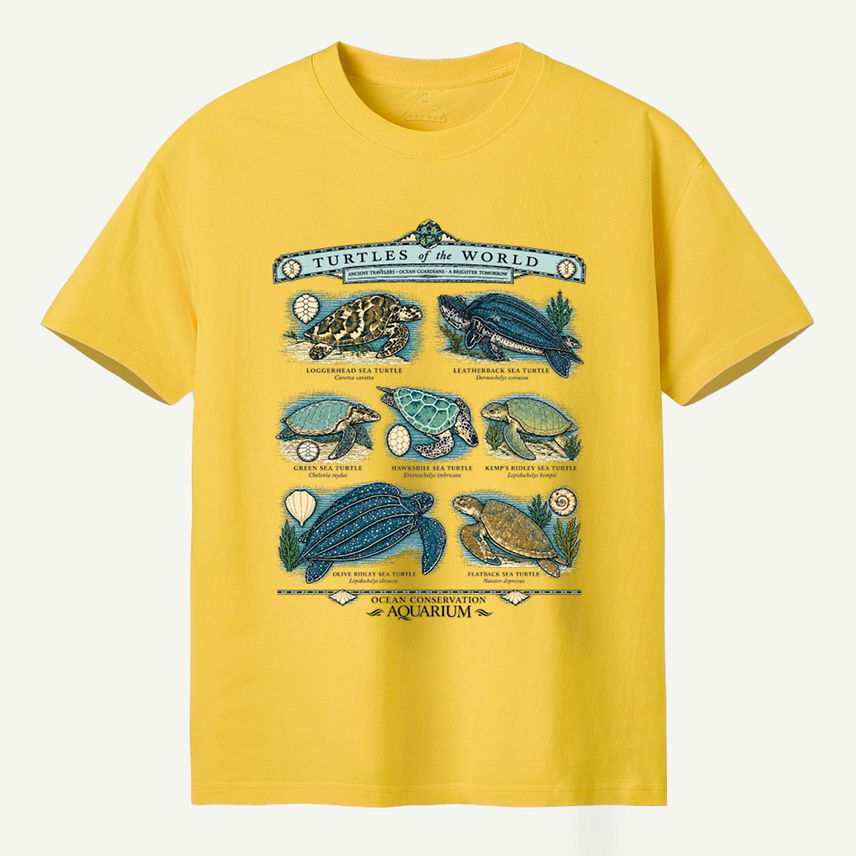 Turtles Of The World Ocean Conservation Field Guide T-Shirt