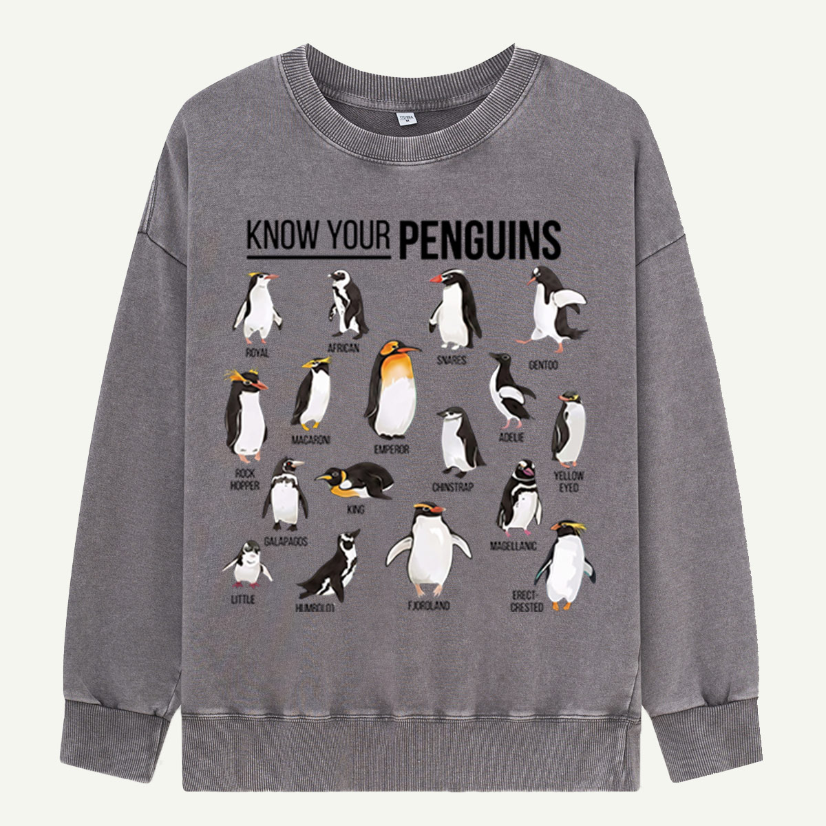 Know Your Penguins Washed Sweatshirts