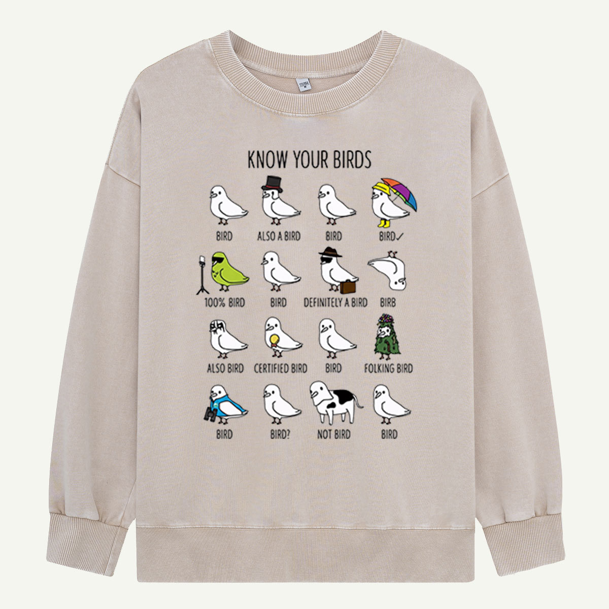 Know Your Birds Bird Chart Washed Sweatshirts