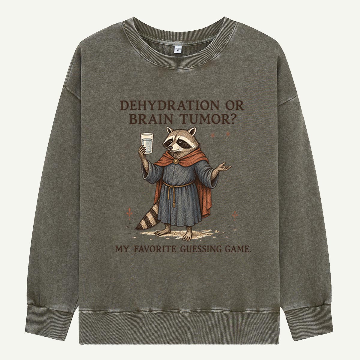 Raccoon’s Questionable Guessing Game Washed Sweatshirts