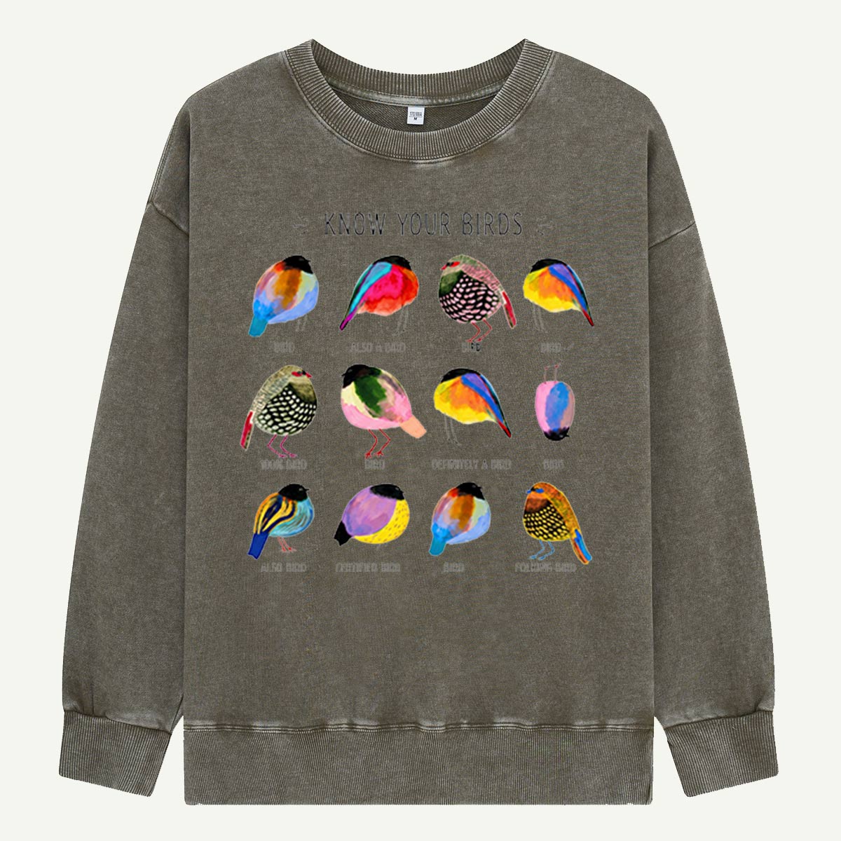 Colorful Bird Guide Washed Sweatshirts
