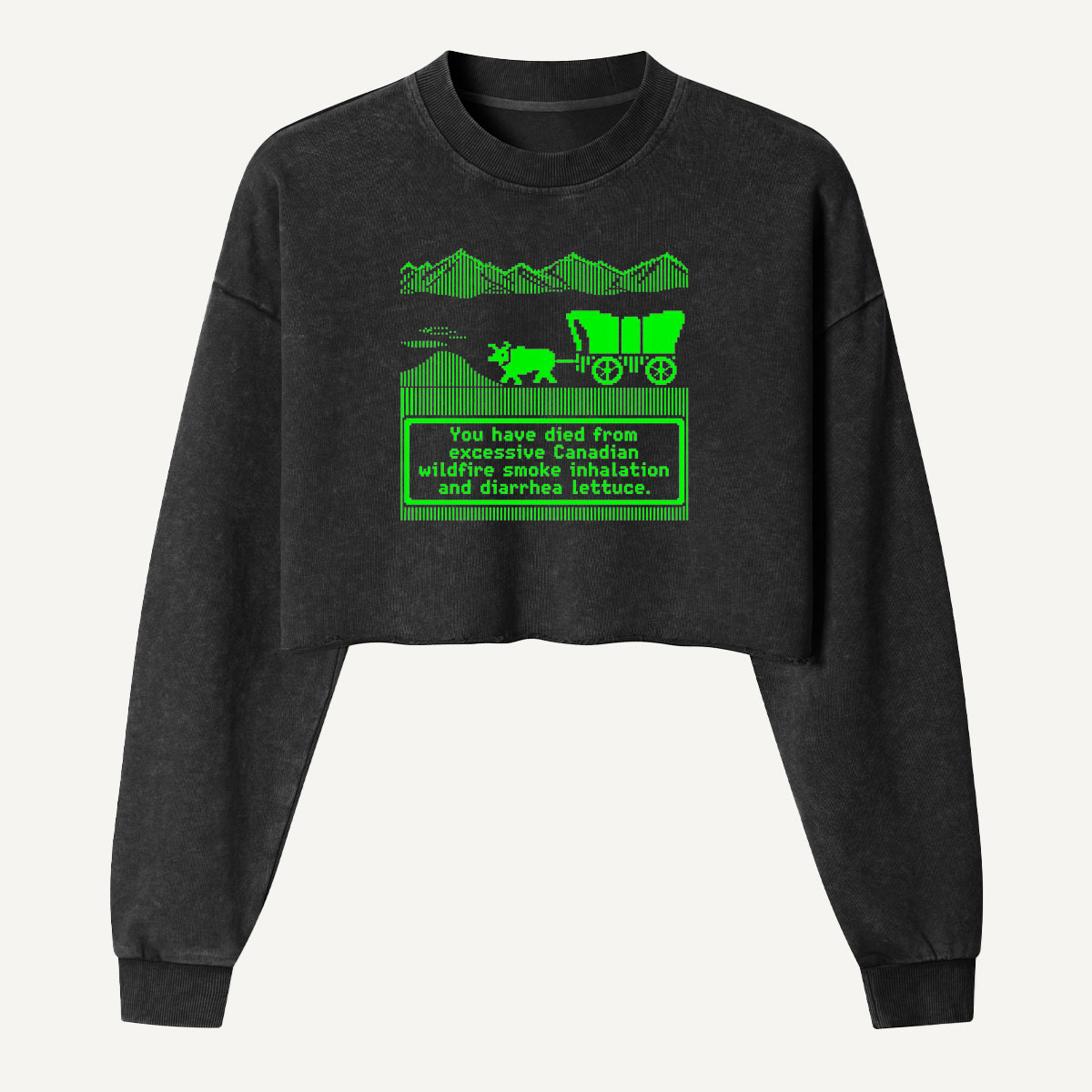 Prehistoric Road Trip Dinosaur Wagon Women's Washed Cropped Sweatshirt
