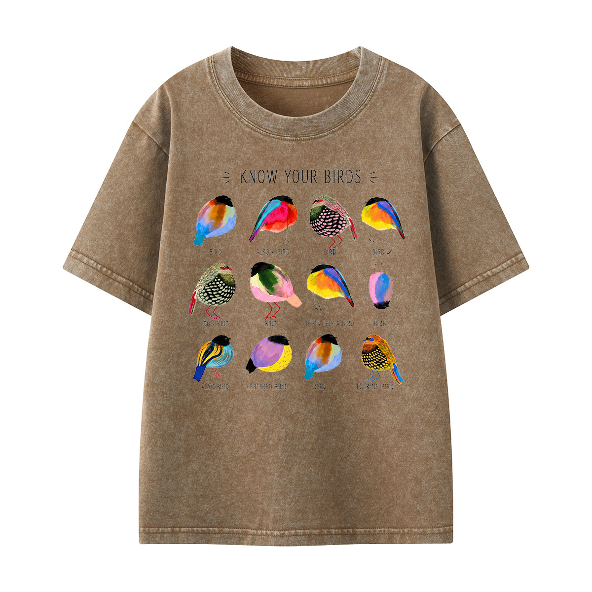 Colorful Bird Guide Kids Washed T-Shirt