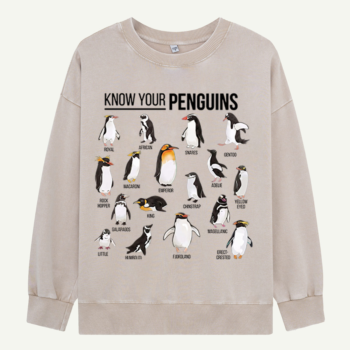 Know Your Penguins Washed Sweatshirts