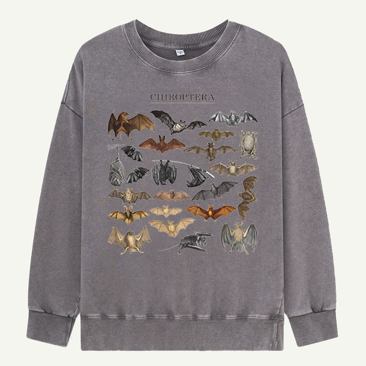 Pumpkin Cat Most Wonderful Washed Sweatshirts