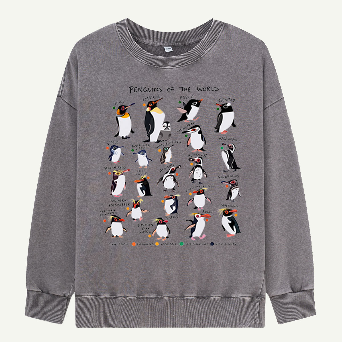 Penguins Of The World Guide Washed Sweatshirts